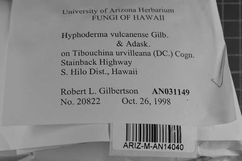 Crustoderma vulcanense image