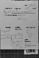 Image Associated With the Occurrence