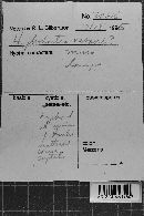 Image Associated With the Occurrence