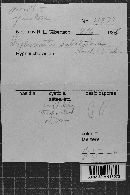 Image Associated With the Occurrence