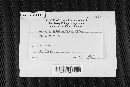 Thumbnail image of current specimen