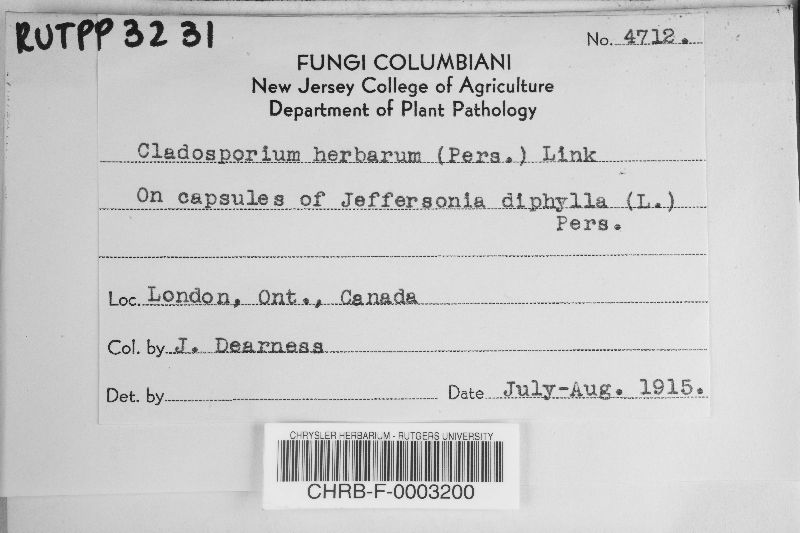 Cladosporium herbarum image