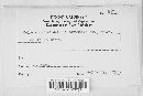 Thumbnail image of current specimen
