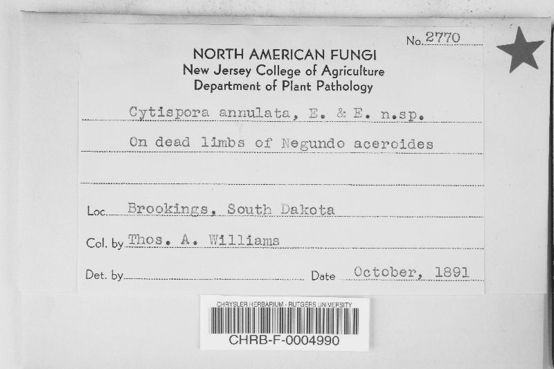 Cytospora annulata image