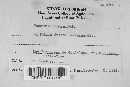 Image Associated With the Occurrence
