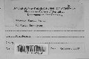 Tapesia fusca image