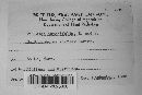 Thumbnail image of current specimen