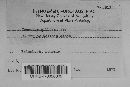 Thumbnail image of current specimen