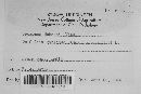 Uromyces hobsoni image