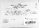 Image Associated With the Occurrence