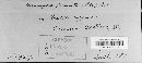 Image Associated With the Occurrence