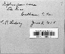 Image Associated With the Occurrence