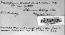 Image Associated With the Occurrence