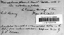 Image Associated With the Occurrence