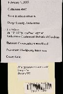 Thumbnail image of current specimen