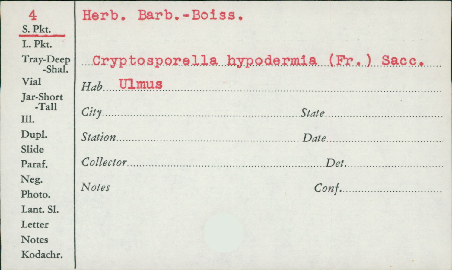 Cryptosporella thumbnail