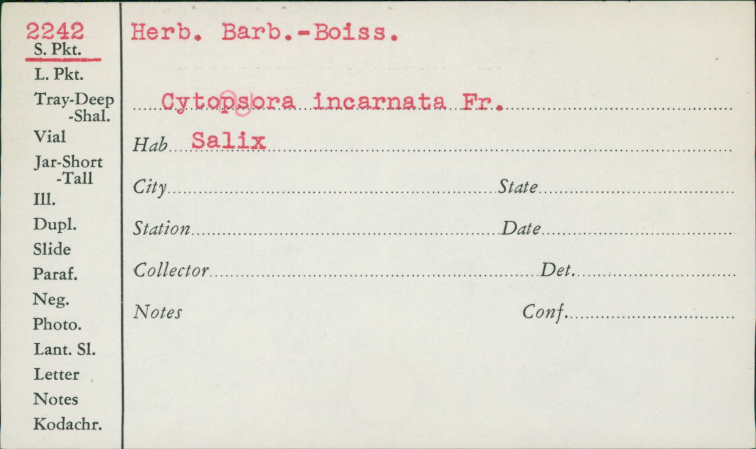 Cytospora incarnata image