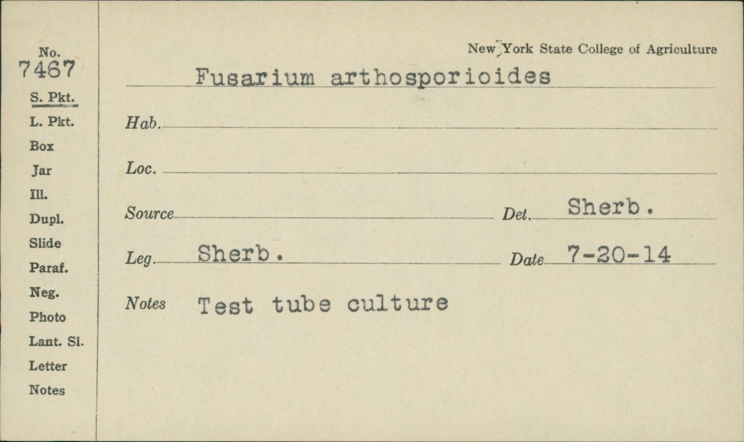 Fusarium arthrosporioides thumbnail