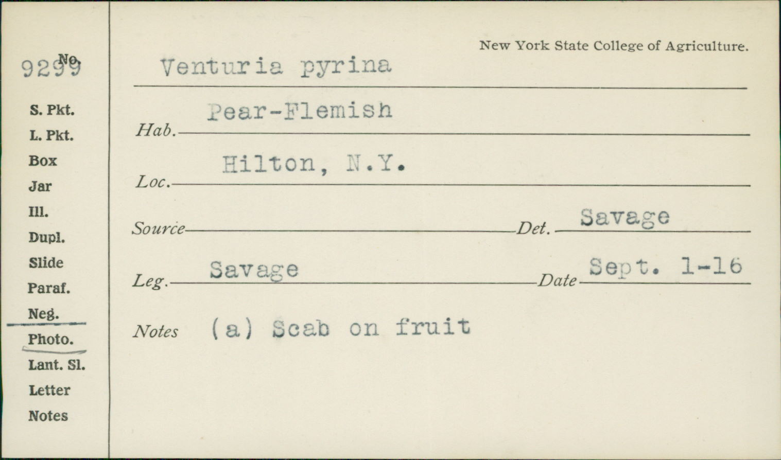 Venturia pyrina image