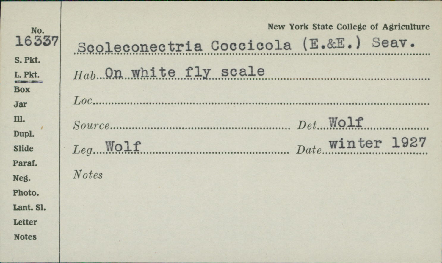 Cocoicola