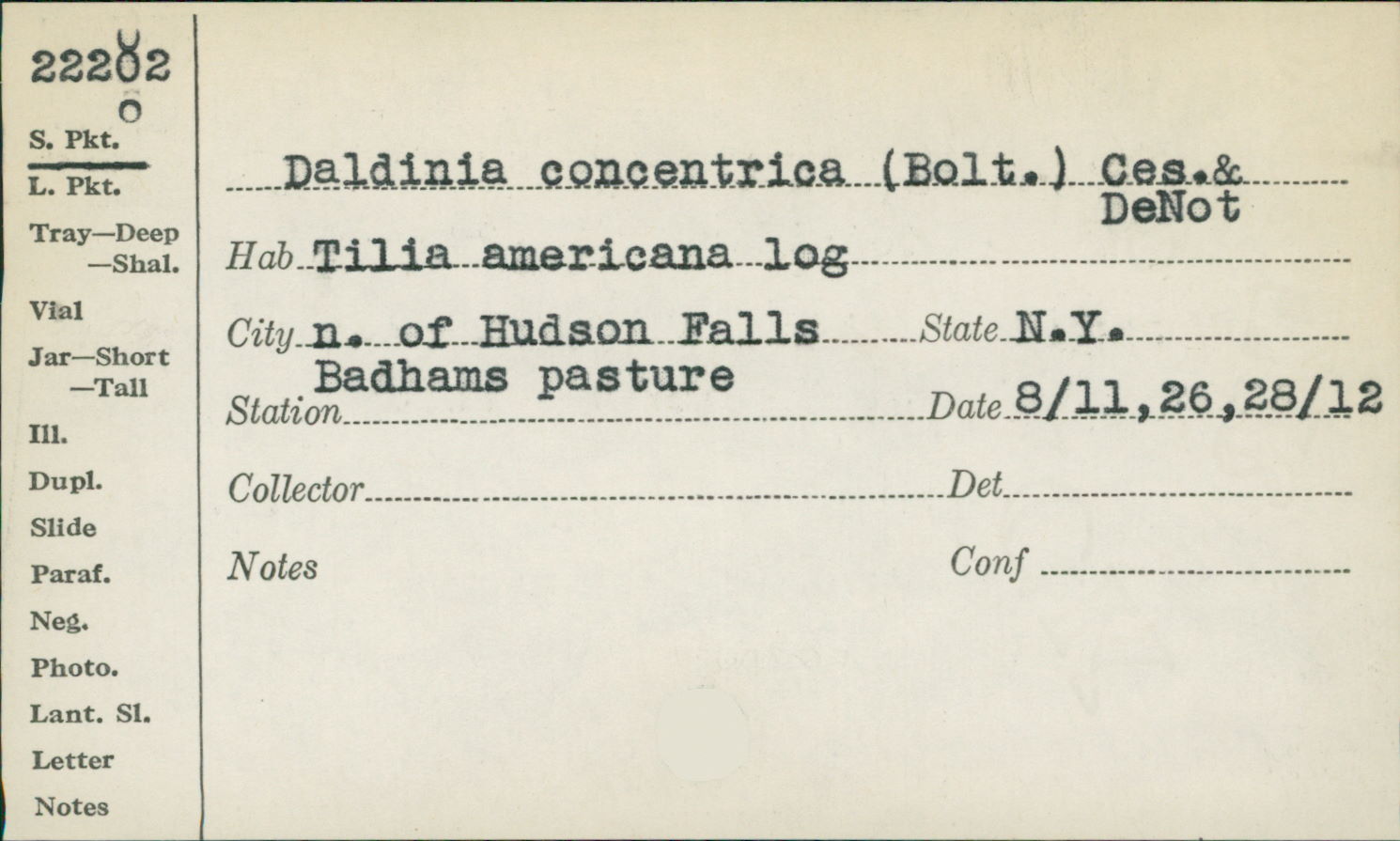 Daldinia