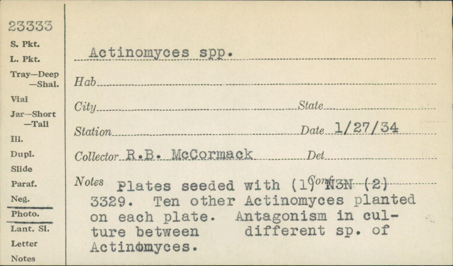 Actinomyces