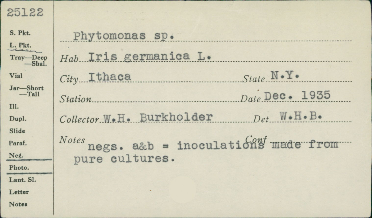 Phytomonas