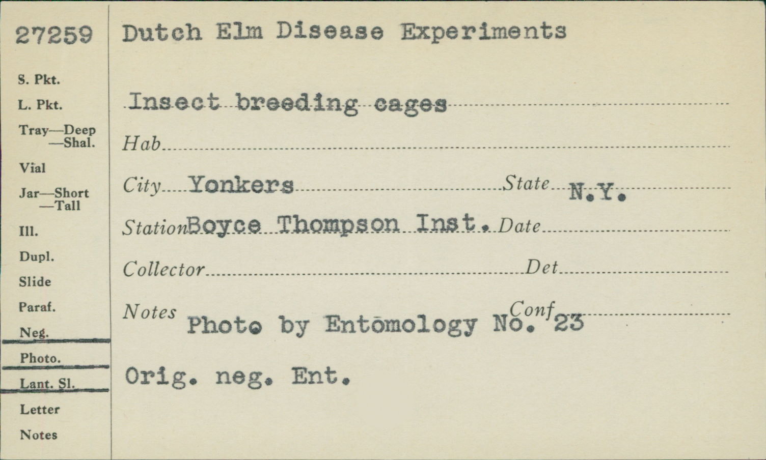 Ophiostoma novo-ulmi thumbnail