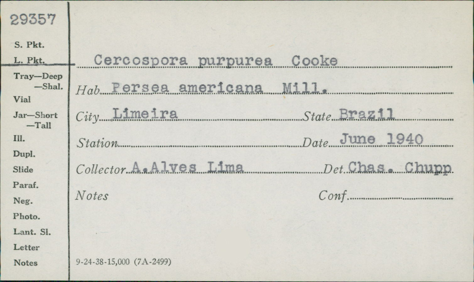 Pseudocercospora purpurea image