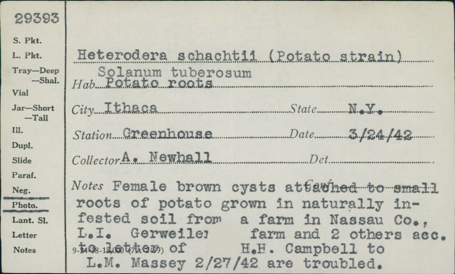 Heterodera schachtii thumbnail