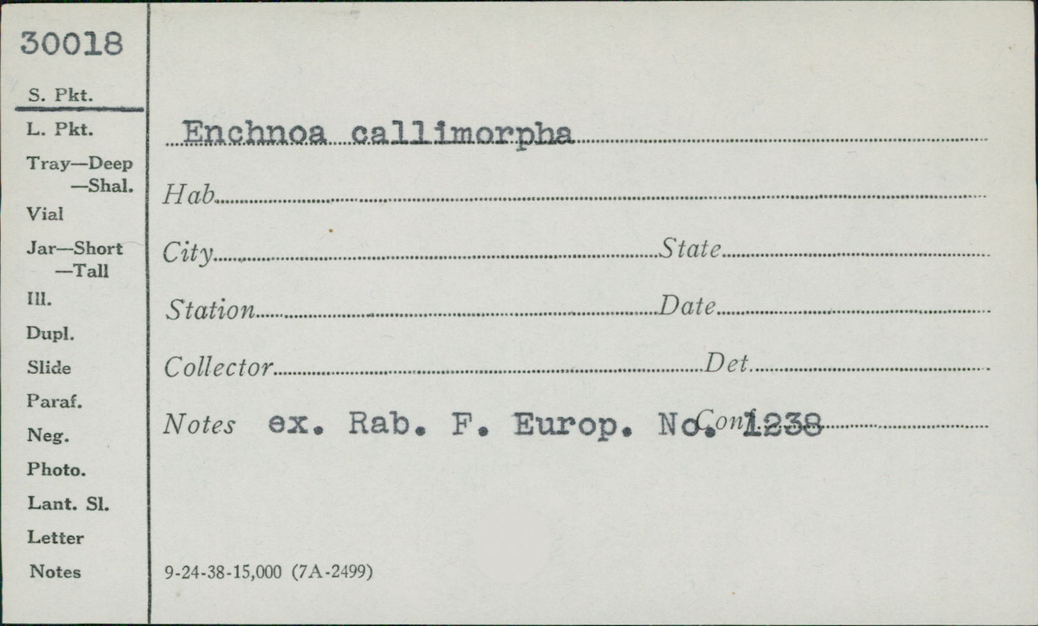 Emericellopsis thumbnail
