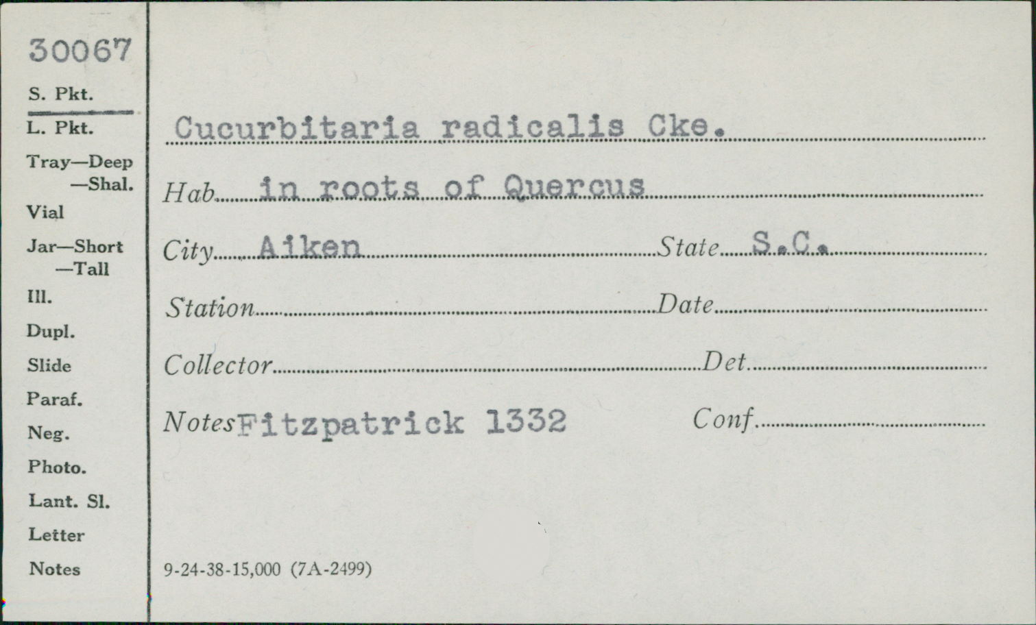 Cucurbitaria radicalis image