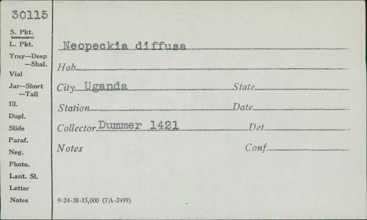 Herpotrichia diffusa image