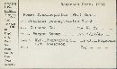 Fomes fraxinophilus image