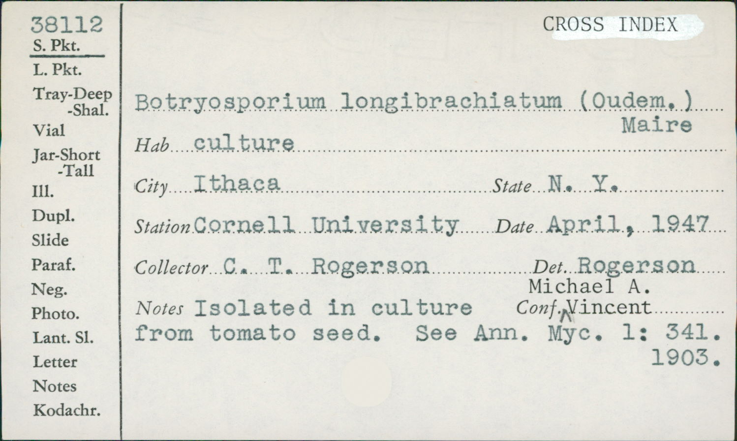 Botryosporium thumbnail