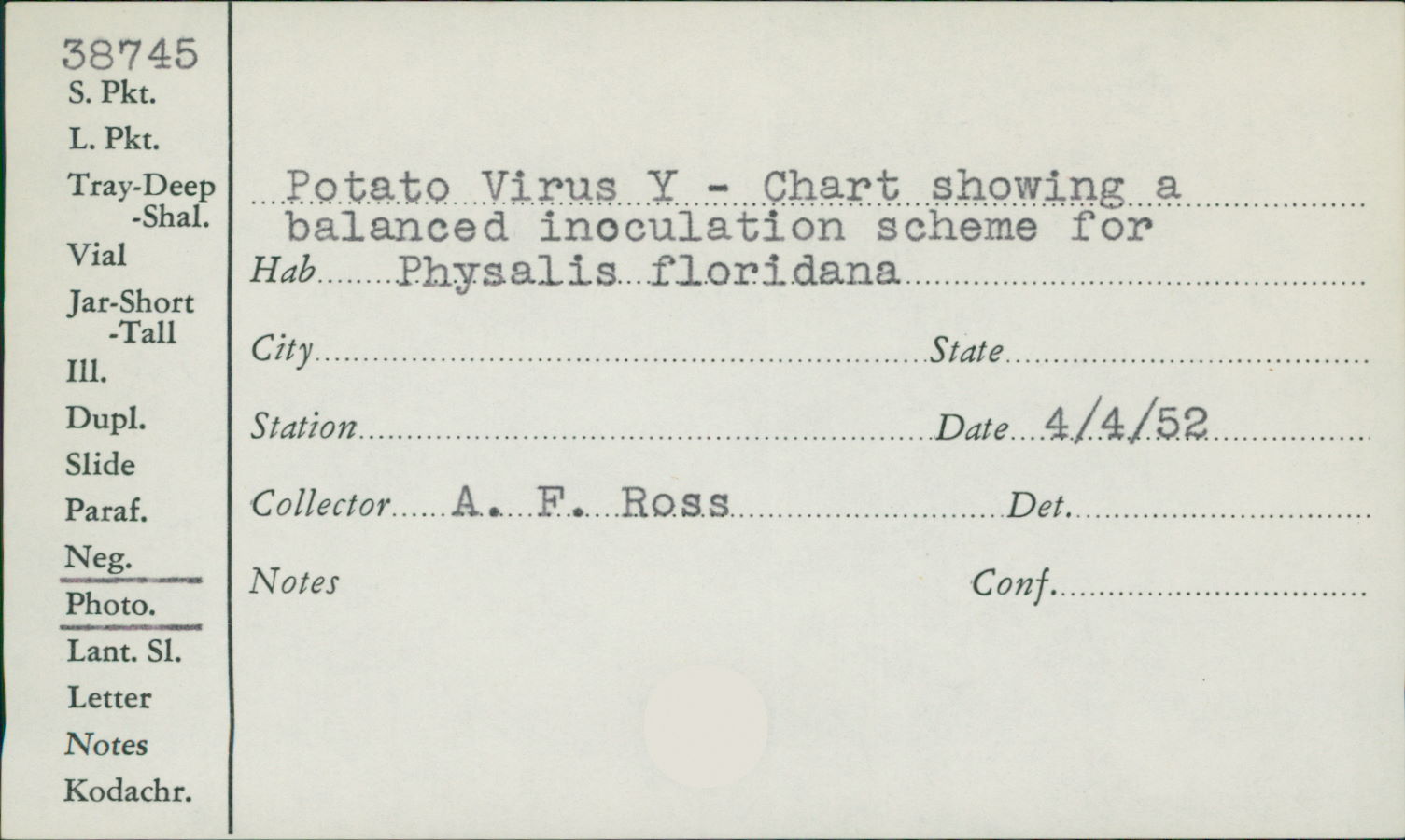 Potato virus Y thumbnail