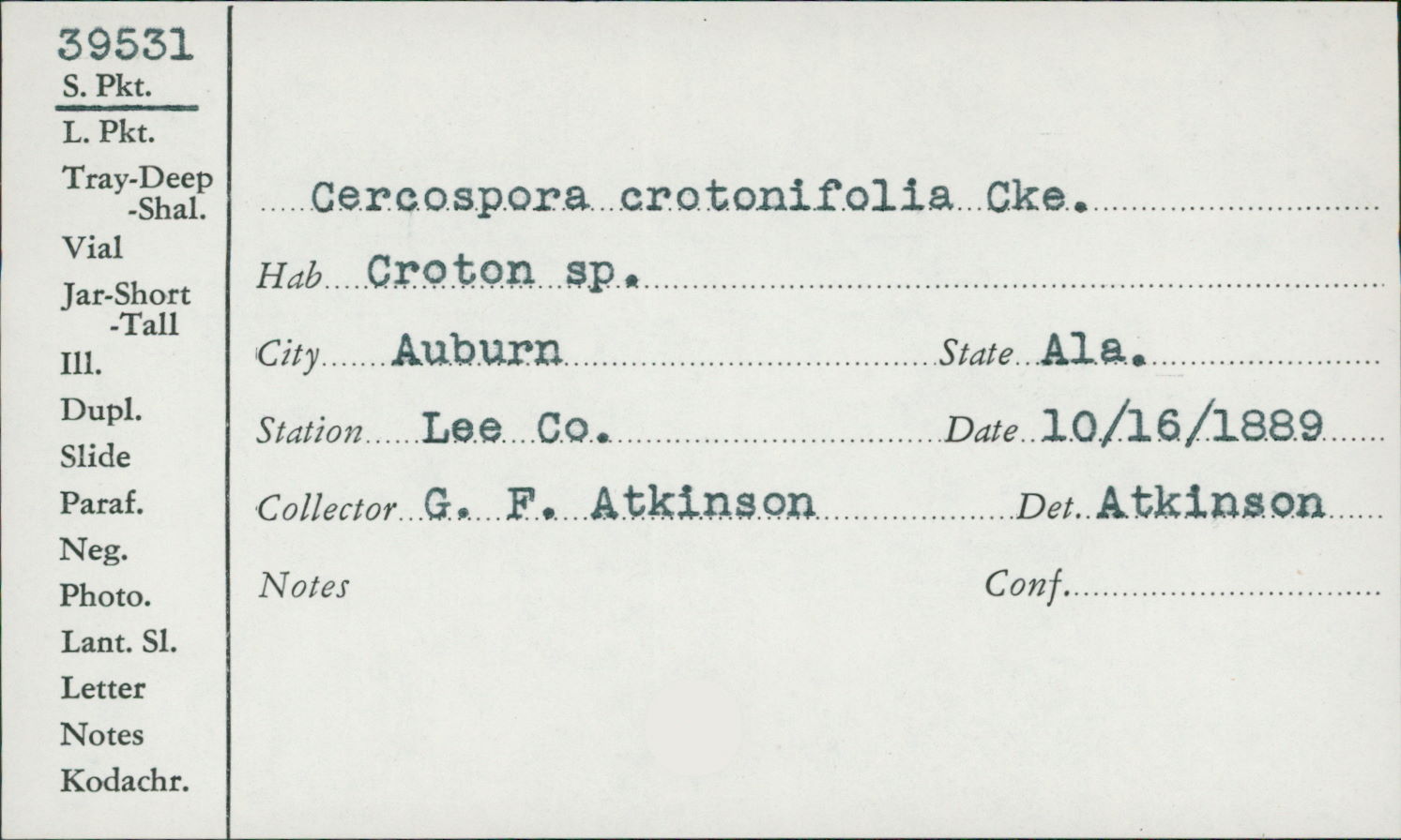 Cercospora crotonifolia image