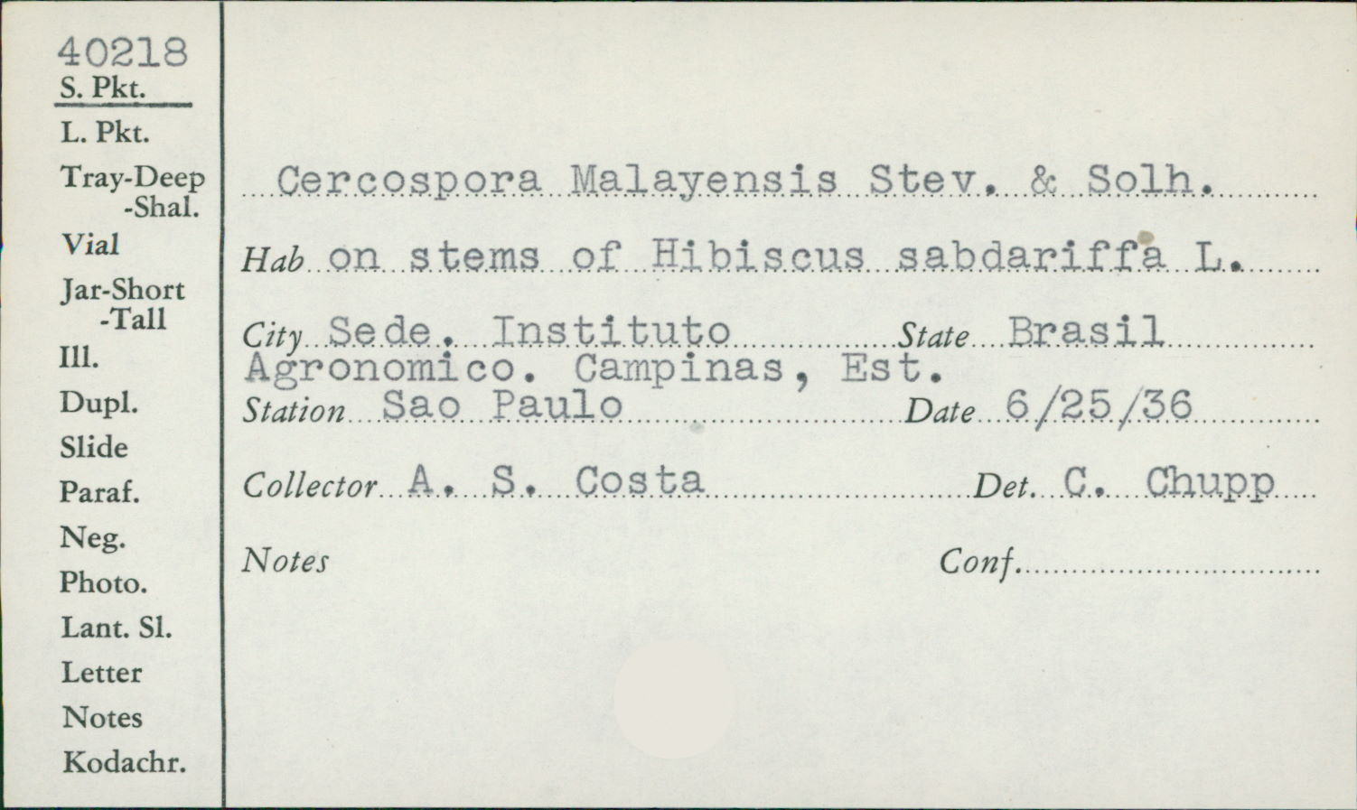 Cercospora malayensis
