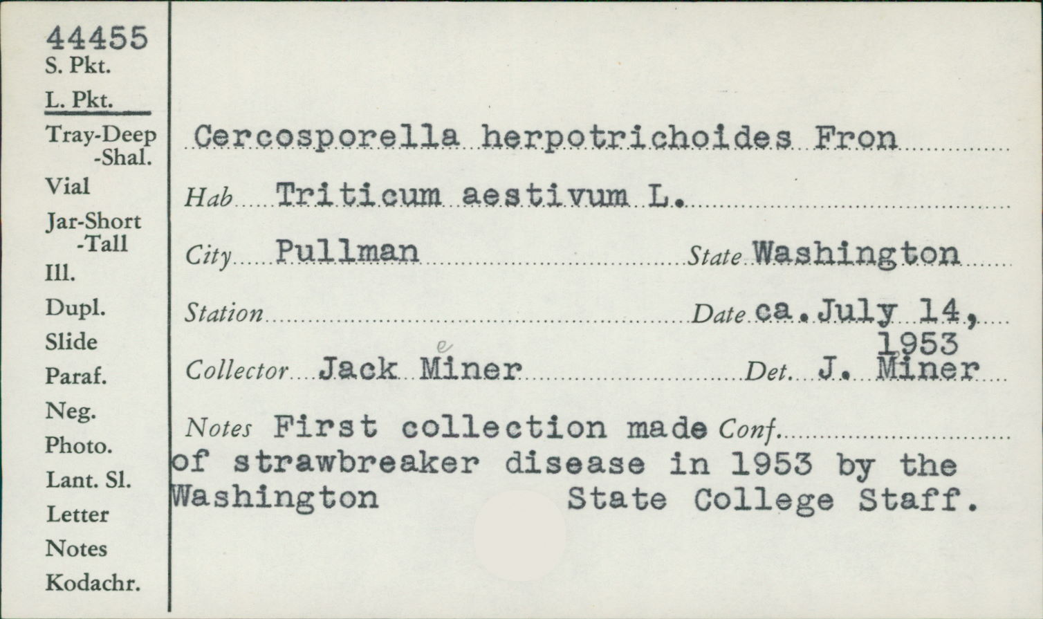 Oculimacula yallundae image