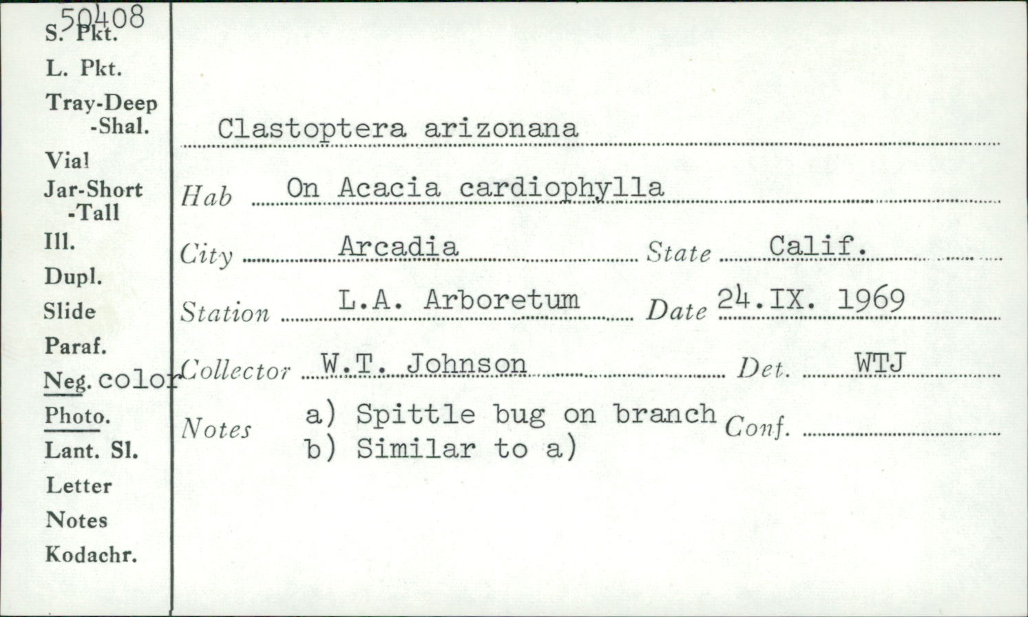 Clastoptera arizonana thumbnail
