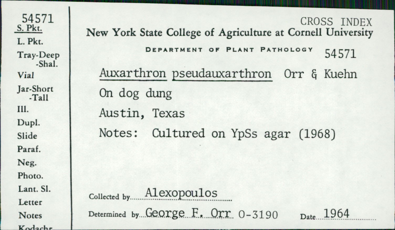 Auxarthron
