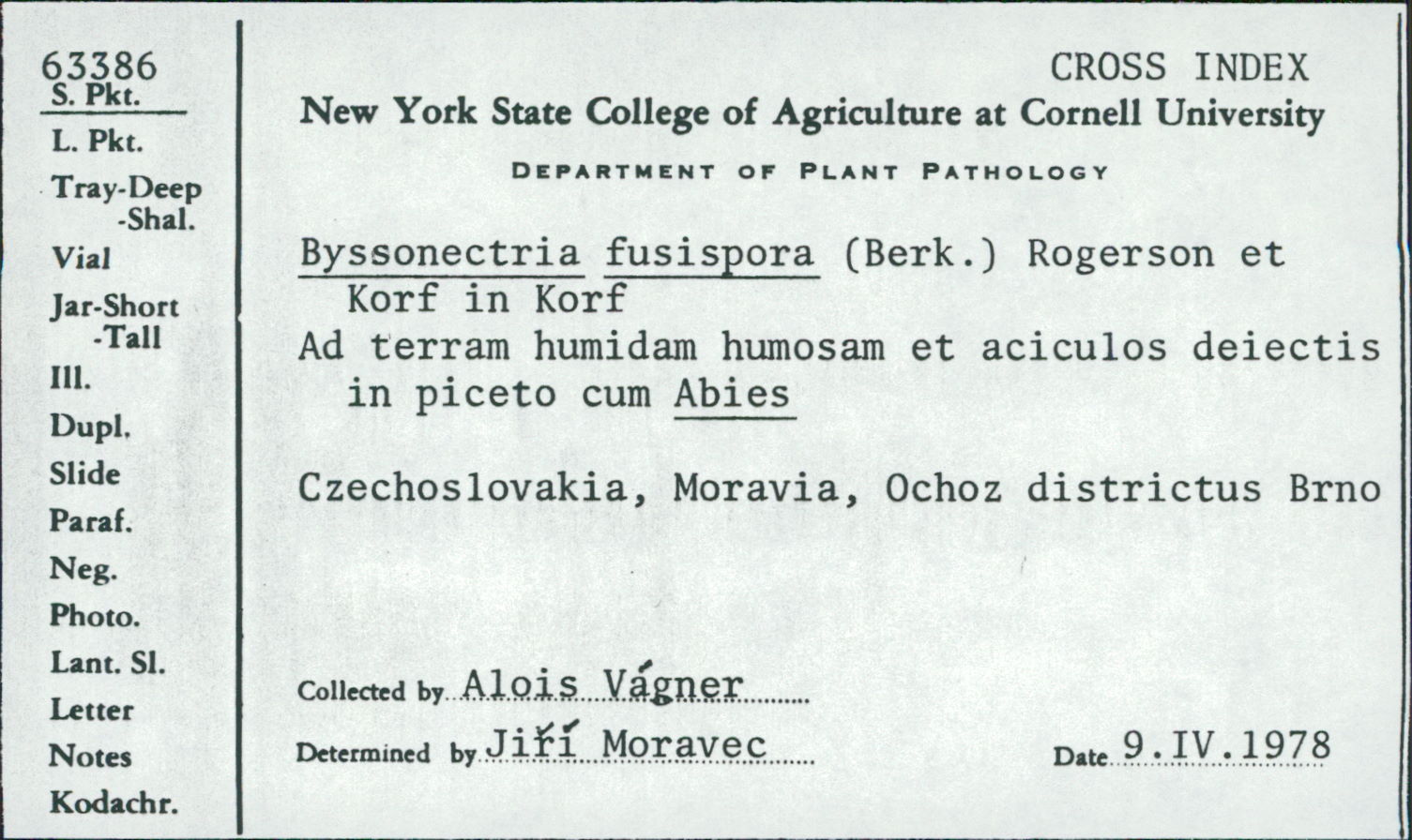 Byssonectria fusispora