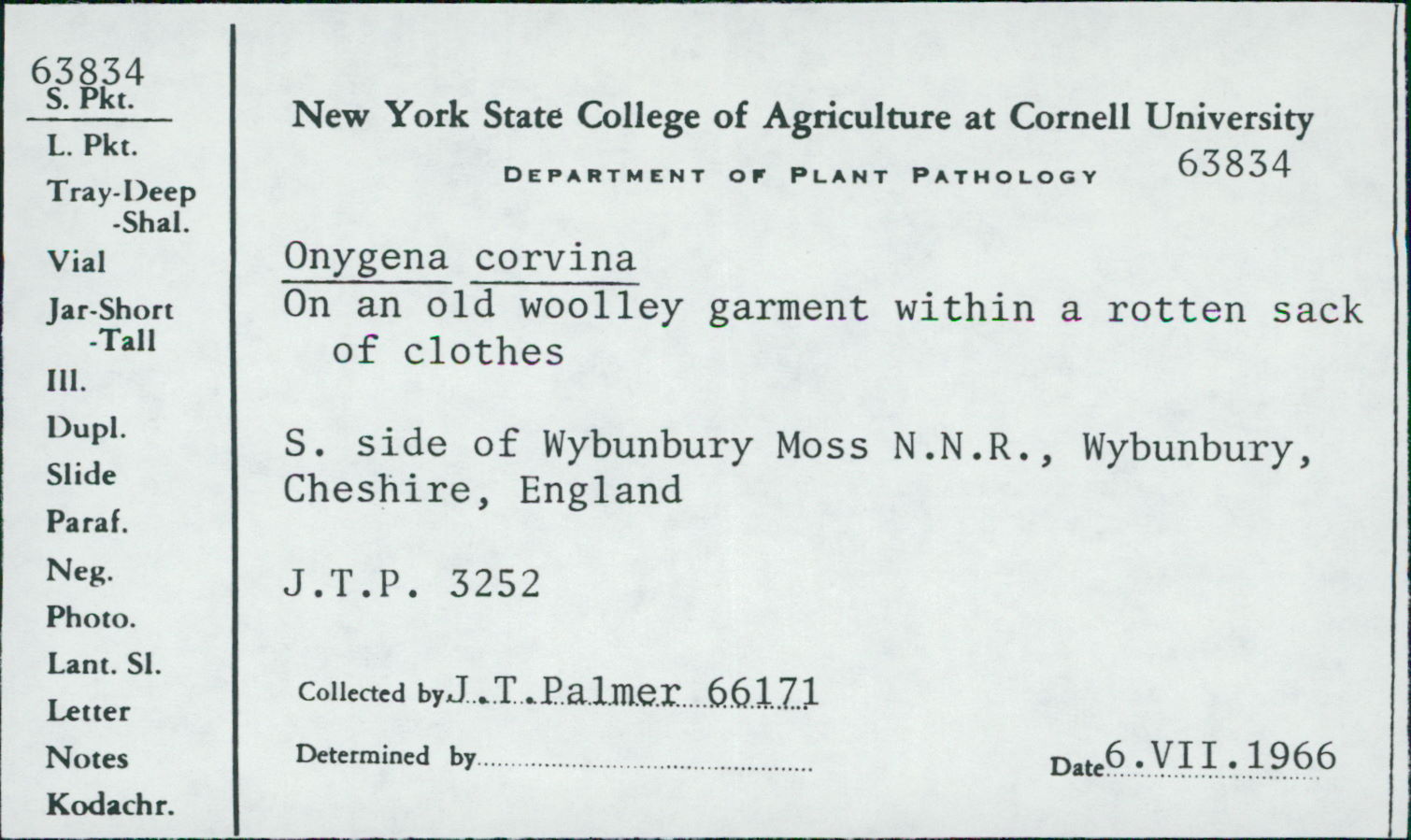 Onygena corvina image