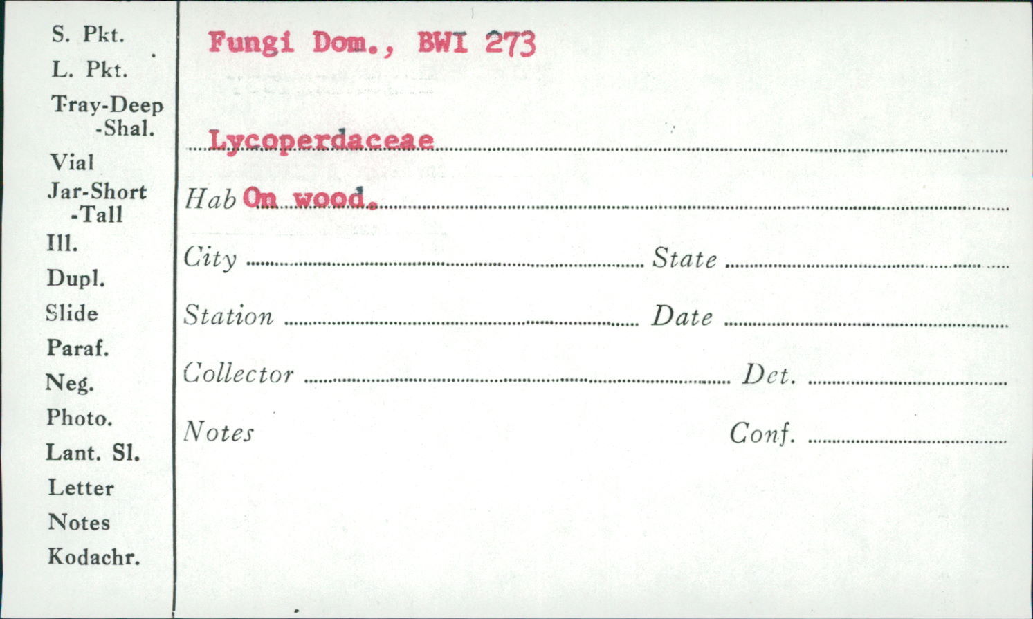 Lycoperdaceae