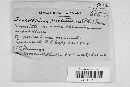 Media resource of Trichothecium sublutescens