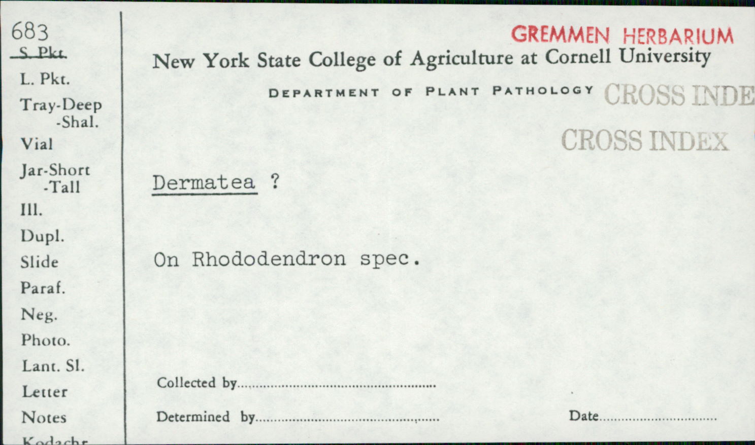 Chlorosplenium cenangium image