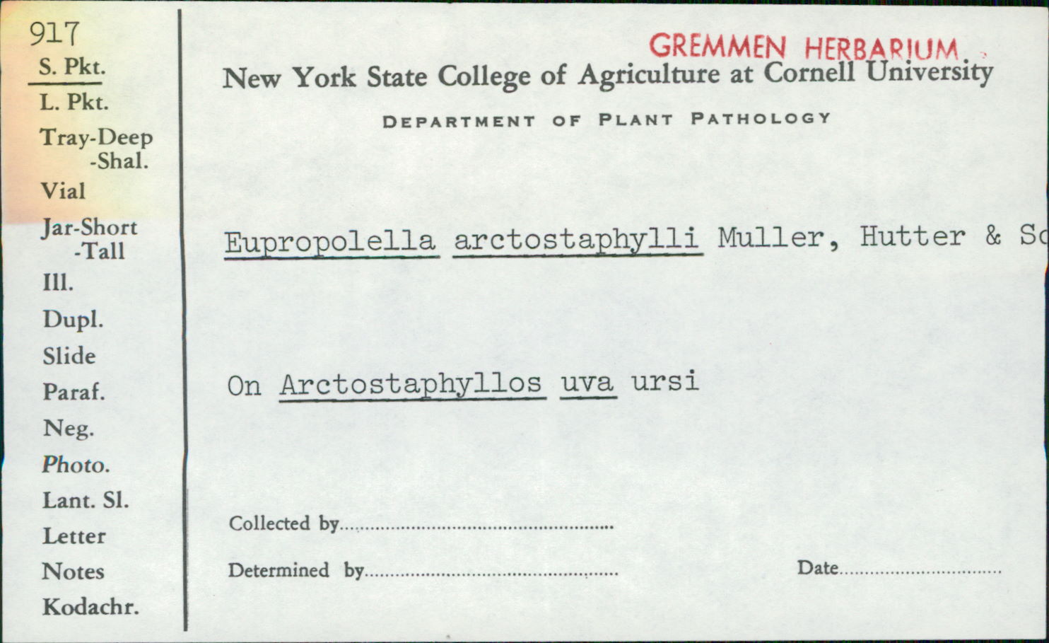 Eupropolella