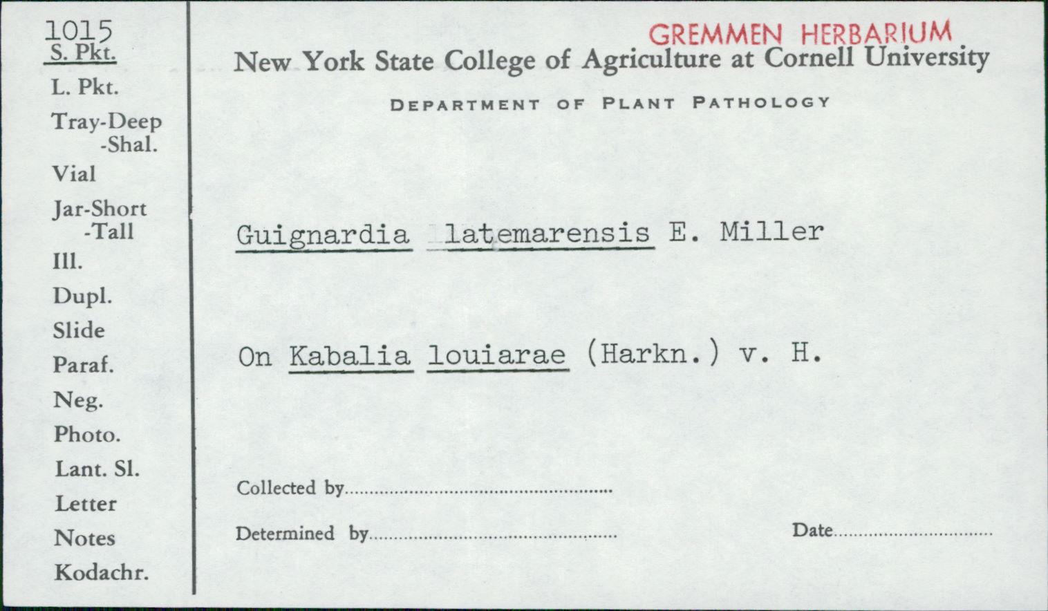 Guignardia latemarensis image