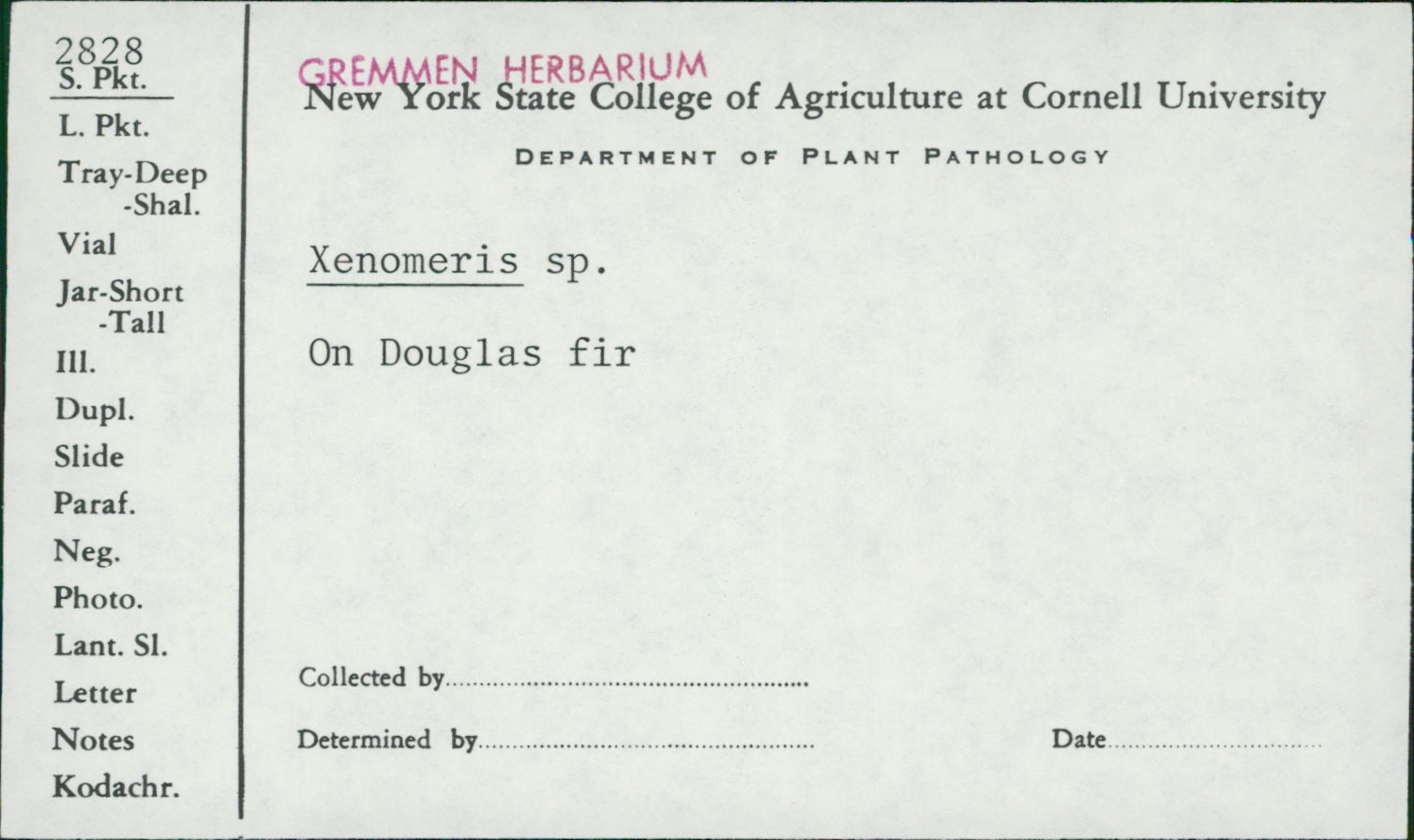 Xenomeris