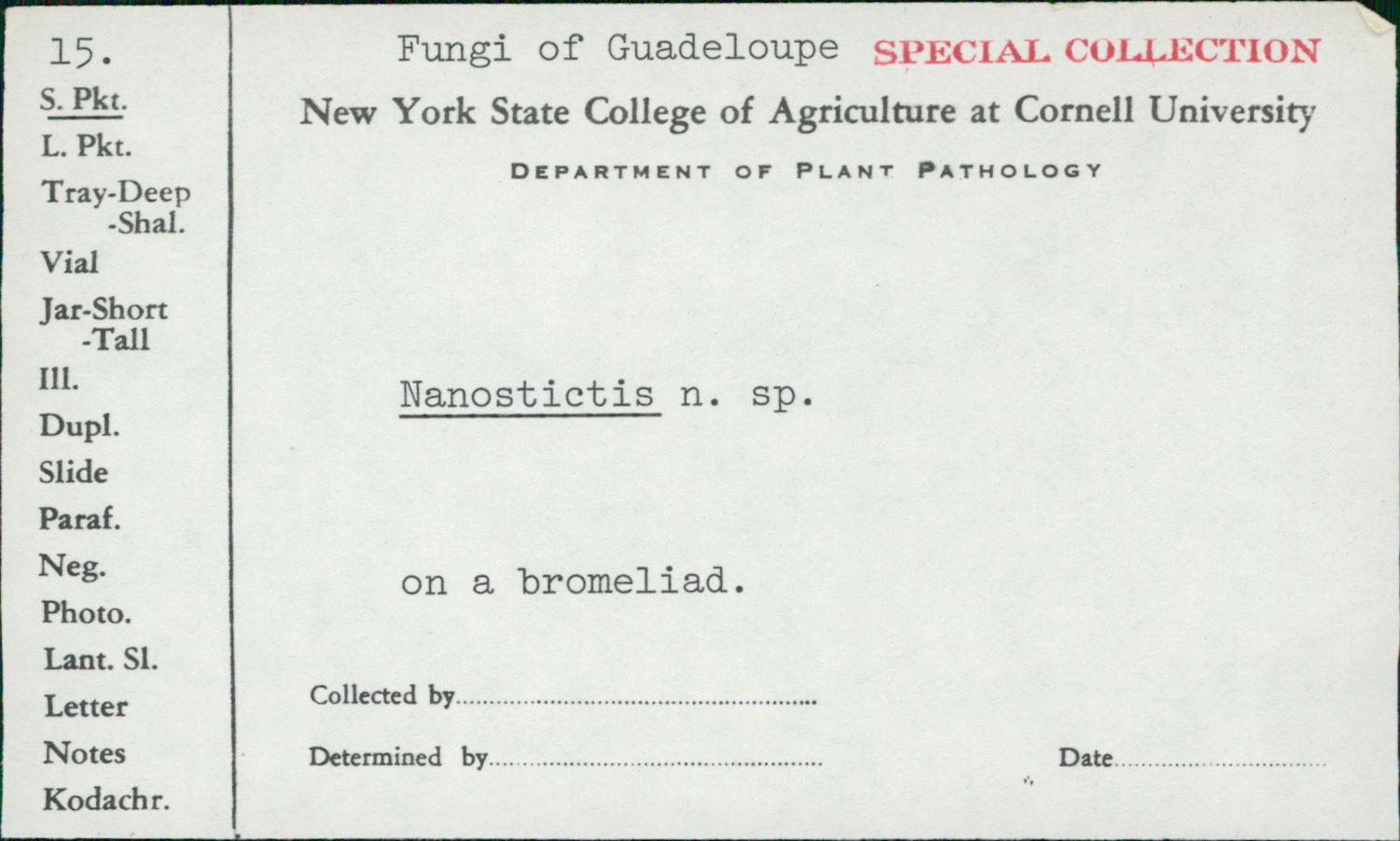 Nanostictis